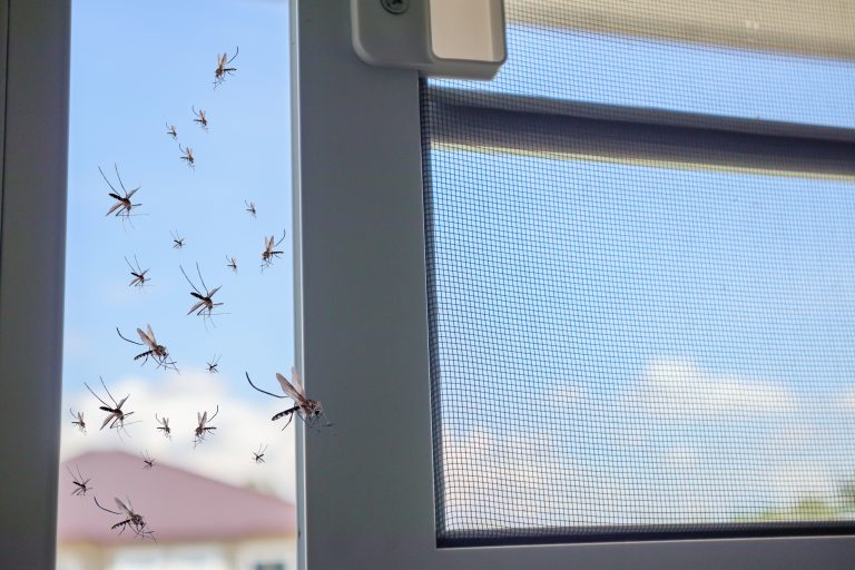 Moustiquaires : comment bien choisir et installer sa protection anti-insectes ?