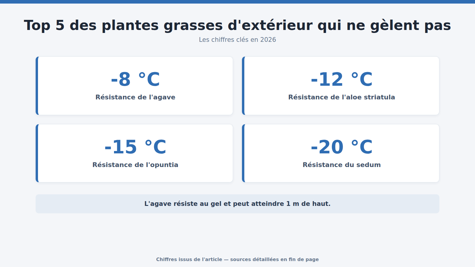Top 5 des plantes grasses d'extérieur qui ne gèlent pas : les chiffres clés (2026)